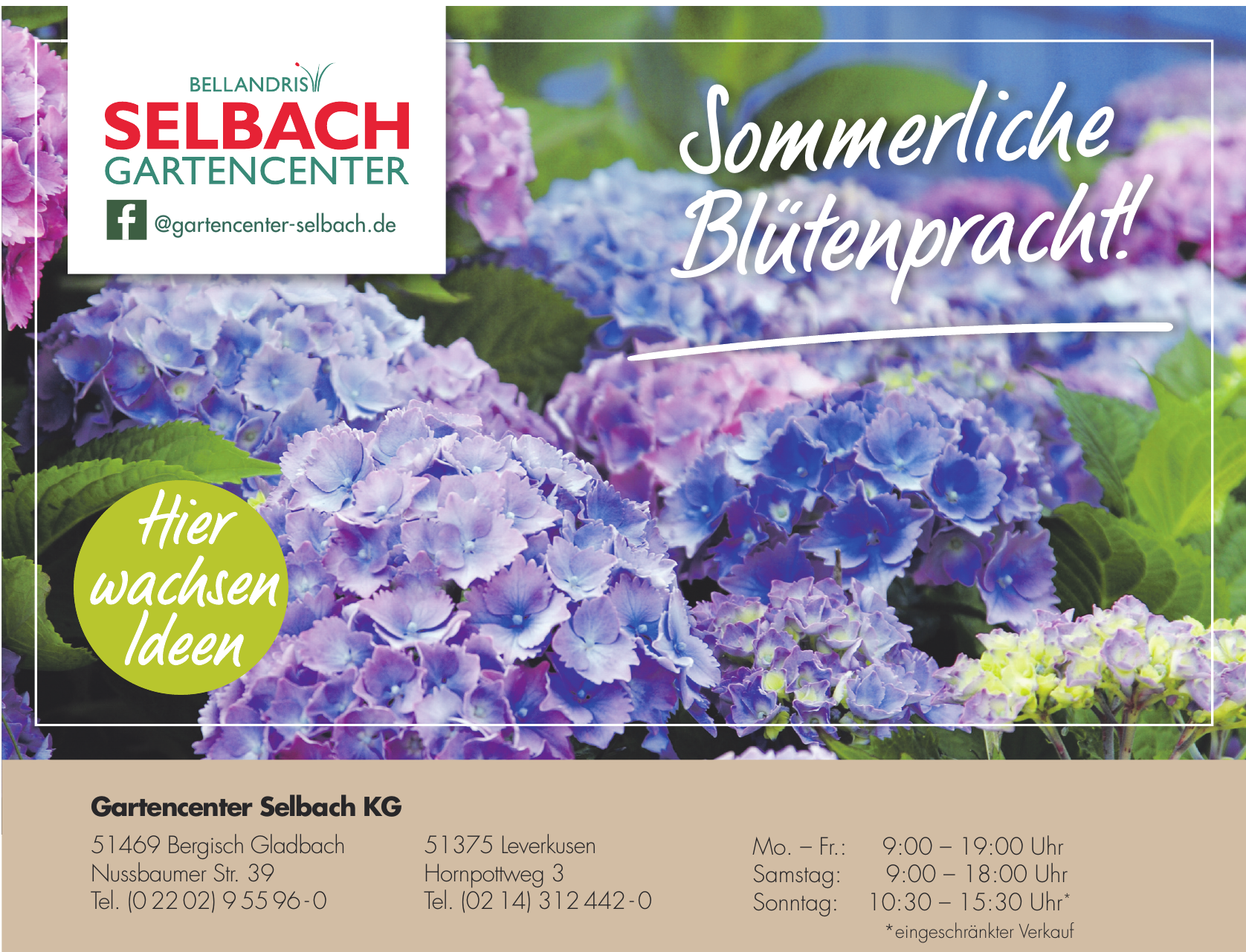 Gartencenter Selbach KG Gartencenter Selbach KG