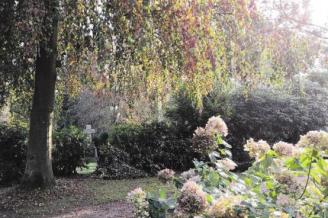 Friedhof Ahrensburg Als Okologische Oase Und Fur Das Stadtklima